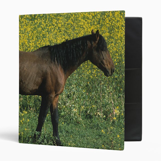 Classeur Cheval sauvage de mustang se tenant en fleurs (Devant/intérieur)