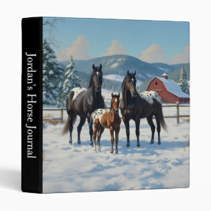 Classeur Chevaux Appaloosa noirs sur une ferme en hiver