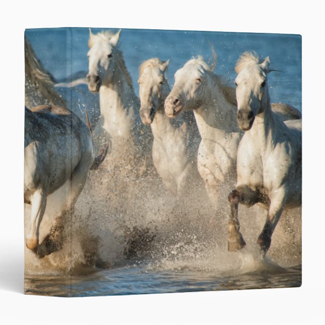 Classeur Chevaux blancs de Camargue, France (Devant/Côté)