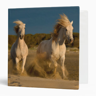 Classeur Chevaux blancs fonctionnant sur la plage