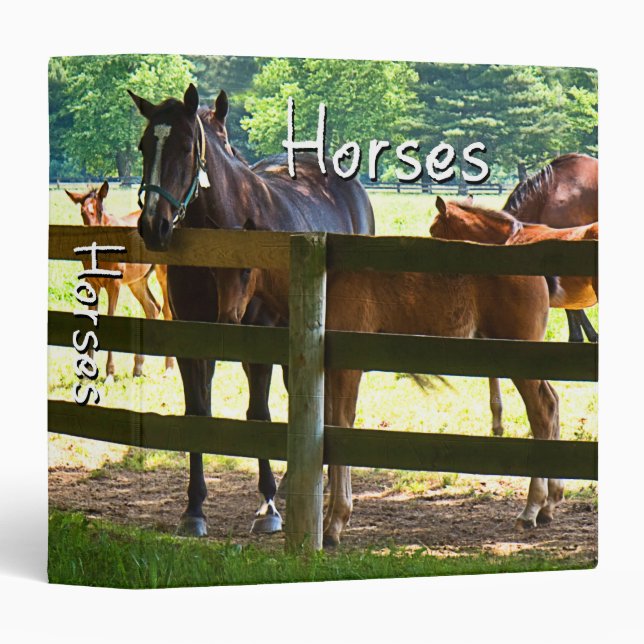 Classeur Chevaux (Classeur) (Devant/Côté)