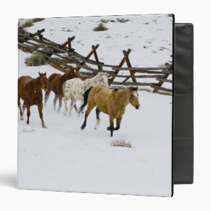 Classeur Chevaux courant dans la neige