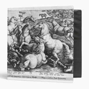 Classeur Chevaux dans le sauvage