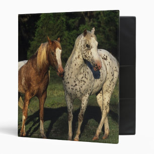 Classeur Chevaux d'Appaloosa