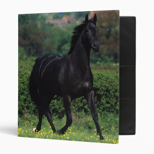 Classeur Chevaux de pur sang dans le domaine de fleur