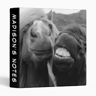 Classeur Chevaux de sourire des images de Getty