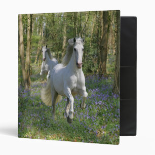 Classeur Chevaux d'imaginaire : Bois de jacinthe des bois
