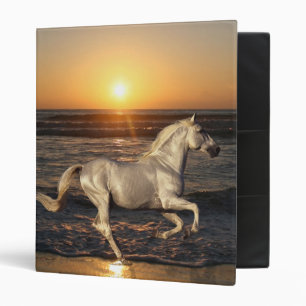 Classeur Chevaux d'imaginaire : Coucher du soleil