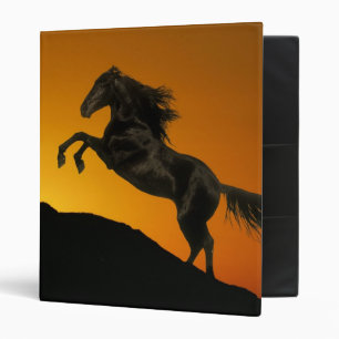 Classeur Chevaux d'imaginaire : Coucher du soleil de