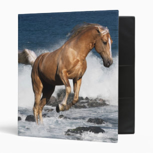 Classeur Chevaux d'imaginaire : Éclaboussure d'été
