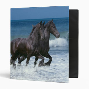 Classeur Chevaux d'imaginaire : Frisons et mer