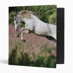 Classeur Chevaux d'imaginaire : Galop de ressort