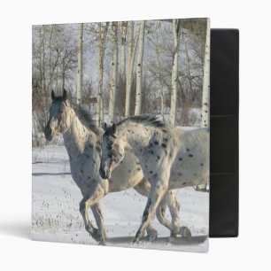 Classeur Chevaux d'imaginaire : Le pays des merveilles
