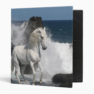 Classeur Chevaux d'imaginaire : Mers du sud