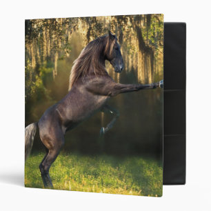 Classeur Chevaux d'imaginaire : Prince de guerrier