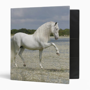 Classeur Chevaux d'imaginaire : Seigneur du lac