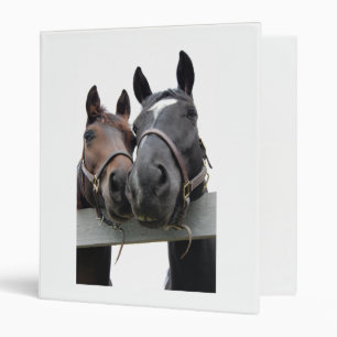 Classeur Chevaux en amour