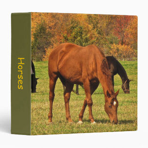 Classeur Chevaux en automne