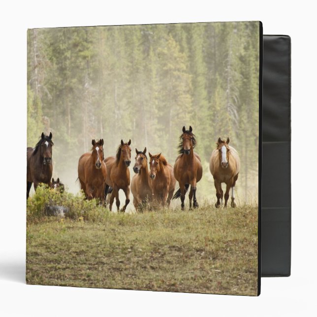 Classeur Chevaux franchissant une petite colline lors d'un  (Devant/Intérieur)