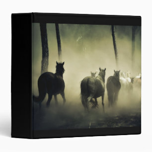 Classeur Chevaux sauvages