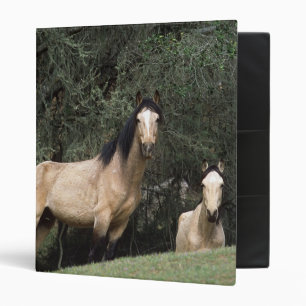 Classeur Chevaux sauvages 6 de mustang