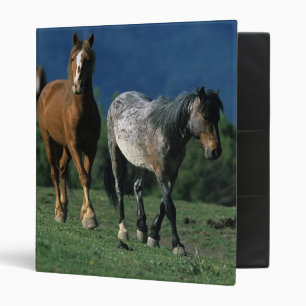 Classeur Chevaux sauvages de mustang
