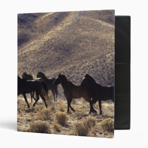 Classeur Chevaux sauvages de mustang dans le désert 1