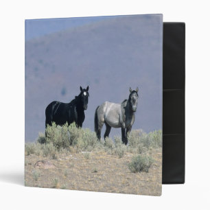 Classeur Chevaux sauvages de mustang dans le désert 3