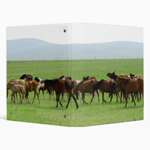 Classeur Chevaux sur la prairie - Photographie du paysage