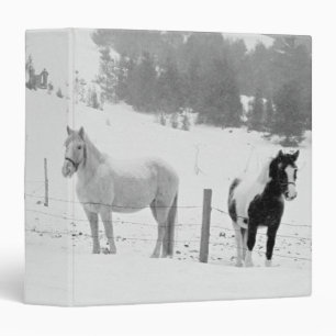 Classeur Chevaux sur le ranch
