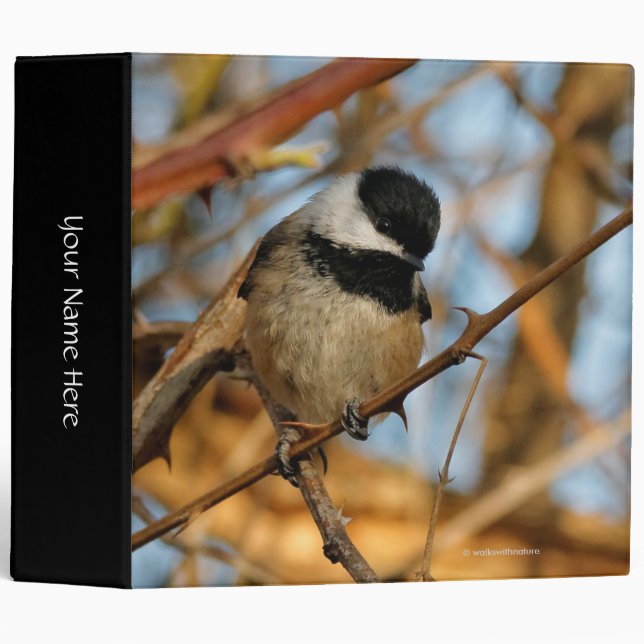 Classeur Chickadee Songbird, Joli Espérant (Devant/Côté)