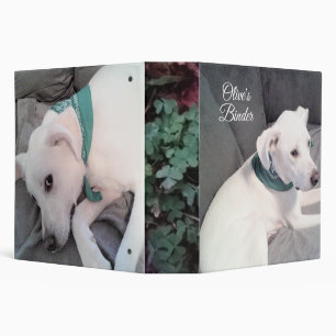 Classeur Chien blanc mignon avec Écharpe verte