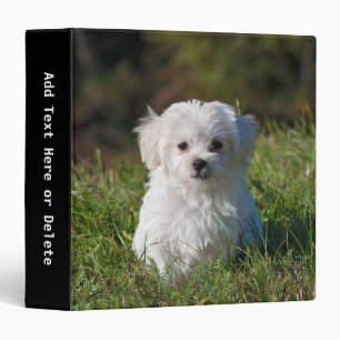 Classeur Chien chiot maltais blanc mou