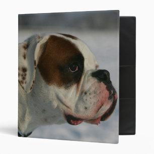 Classeur Chien de boxeur dans la neige