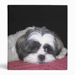 Classeur Chien de Shih Tzu