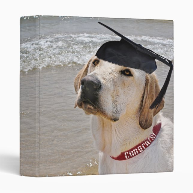 Classeur Chien d'études (Devant/Côté)