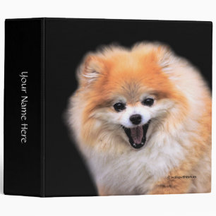 Classeur Chien Poméranien mignon riant