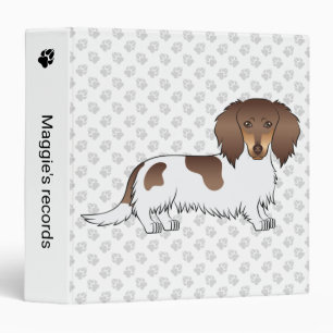 Classeur Chien teckel à poil long piebalde chocolat et fauv