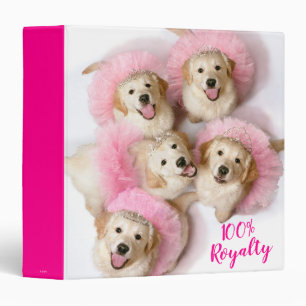 Classeur Chiens de Tiaras