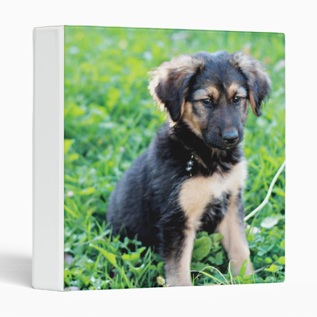 Classeur Chiot berger allemand (Devant/Côté)