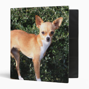 Classeur Chiot de chiwawa de tasse de thé