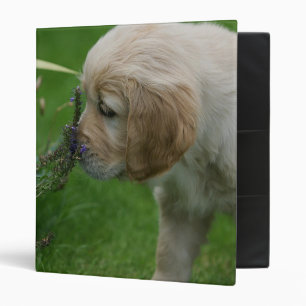 Classeur Chiot de golden retriever