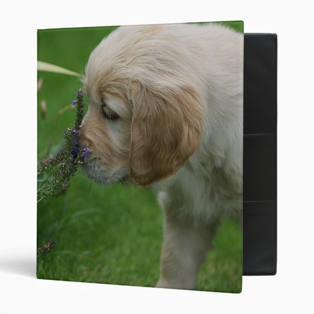 Classeur Chiot de golden retriever (Devant/intérieur)