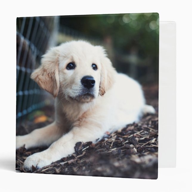 Classeur Chiot de Labrador jouant dans le jardin (Devant/Intérieur)