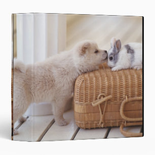 Classeur Chiot et lapin