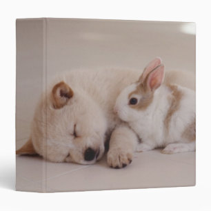 Classeur Chiot et lapin