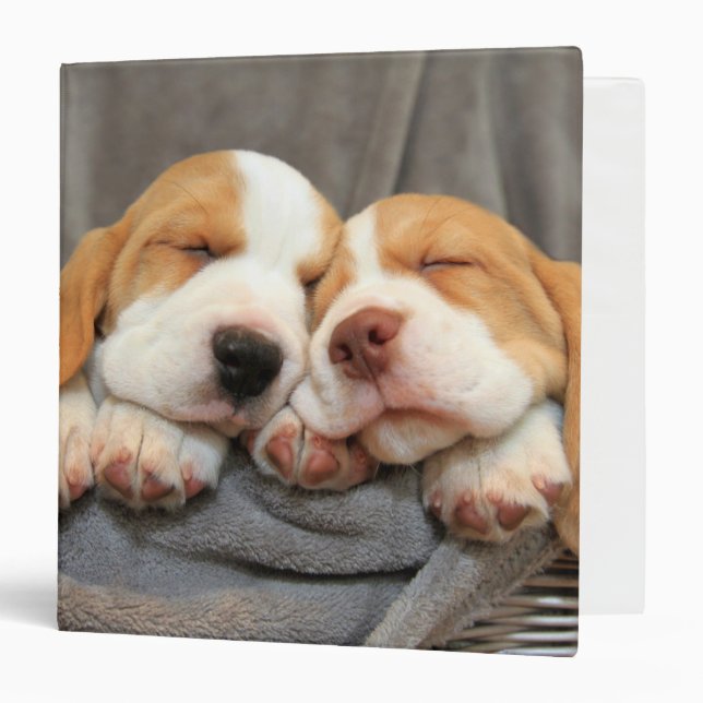 Classeur Chiots somnolents (Devant/Intérieur)