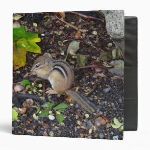 Classeur Chipmunk #2