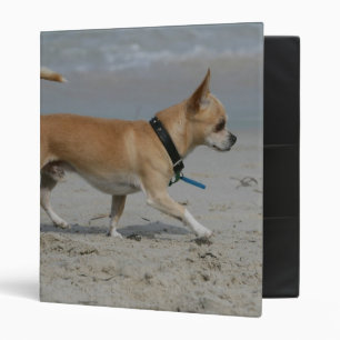 Classeur Chiwawa sur la plage