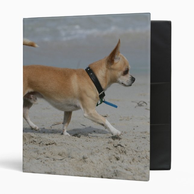 Classeur Chiwawa sur la plage (Devant/intérieur)